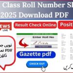 9th Class Roll Number Slip 2025 Download PDF
