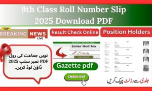 9th Class Roll Number Slip 2025 Download PDF