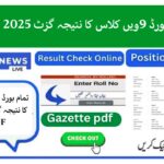 All Board 9th Class Result Gazette 2025 PDF