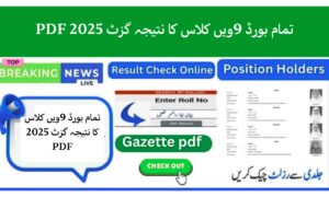 All Board 9th Class Result Gazette 2025 PDF