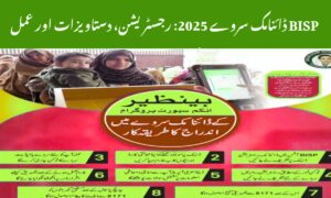 BISP Dynamic Survey 2025