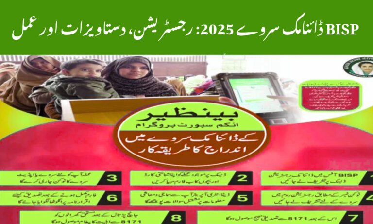 BISP Dynamic Survey 2025