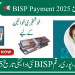 BISP New Payment Date 2025: Complete Schedule & Status Check Guide