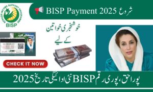 BISP New Payment Date 2025: Complete Schedule & Status Check Guide