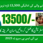BISP Survey 2025 Beneficiary Payment 13500 Latest Update