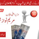 CM Agricultural Internship Program 2025