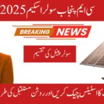 CM PUNJAB SOLAR SCHEME APPLICATION 2025