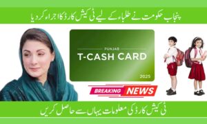 CM Punjab Launches T-Cash Card 2025