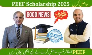 PEEF Scholarship 2025 Online Apply