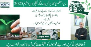 PM Youth Business & Agriculture Loan Scheme 2025 Apply Now