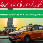 Punjab E-Taxi Program Payment Structure 2025