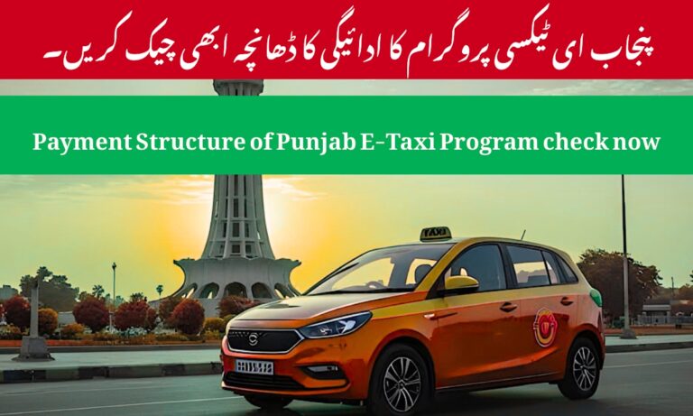 Punjab E-Taxi Program Payment Structure 2025